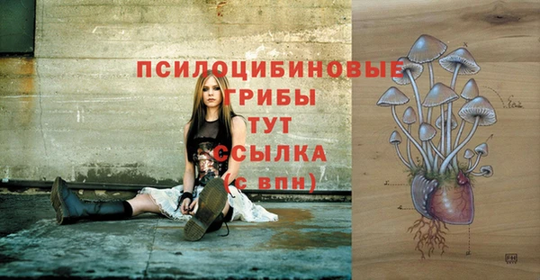 стаф Верхний Тагил